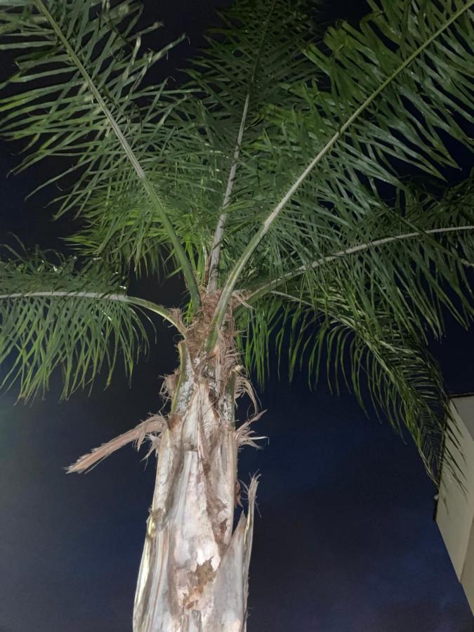 Ancora Del Salento Villa Lecce Bagian luar foto